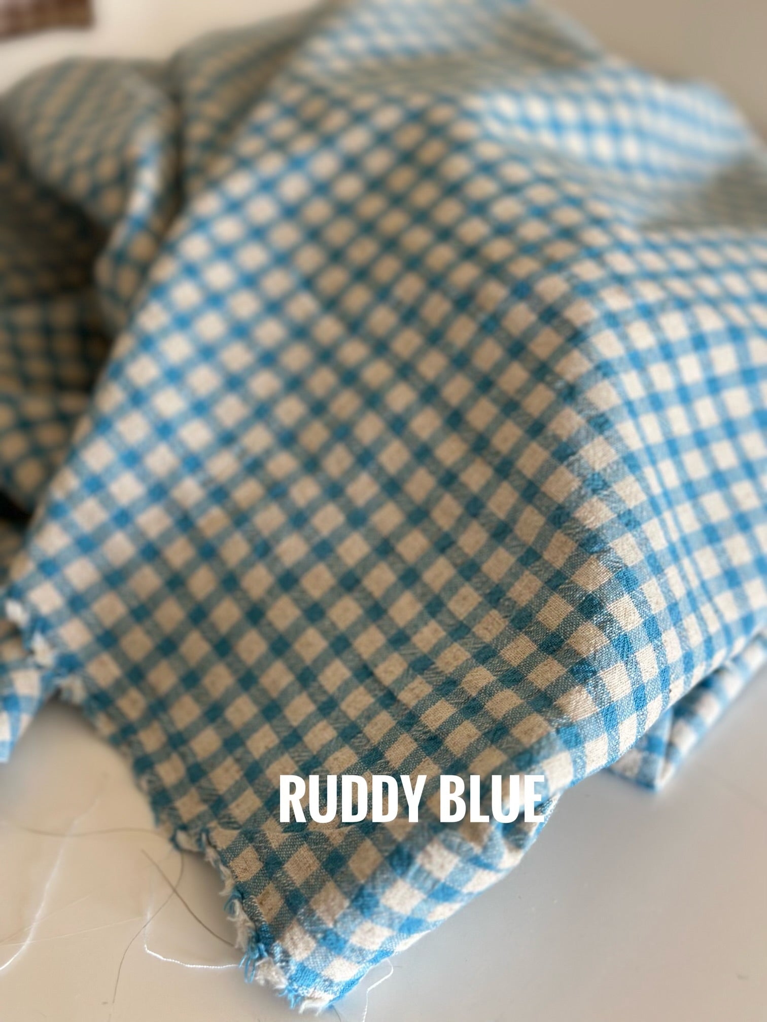 Ruddy blue gingham fabric detail (F6D0BA13)