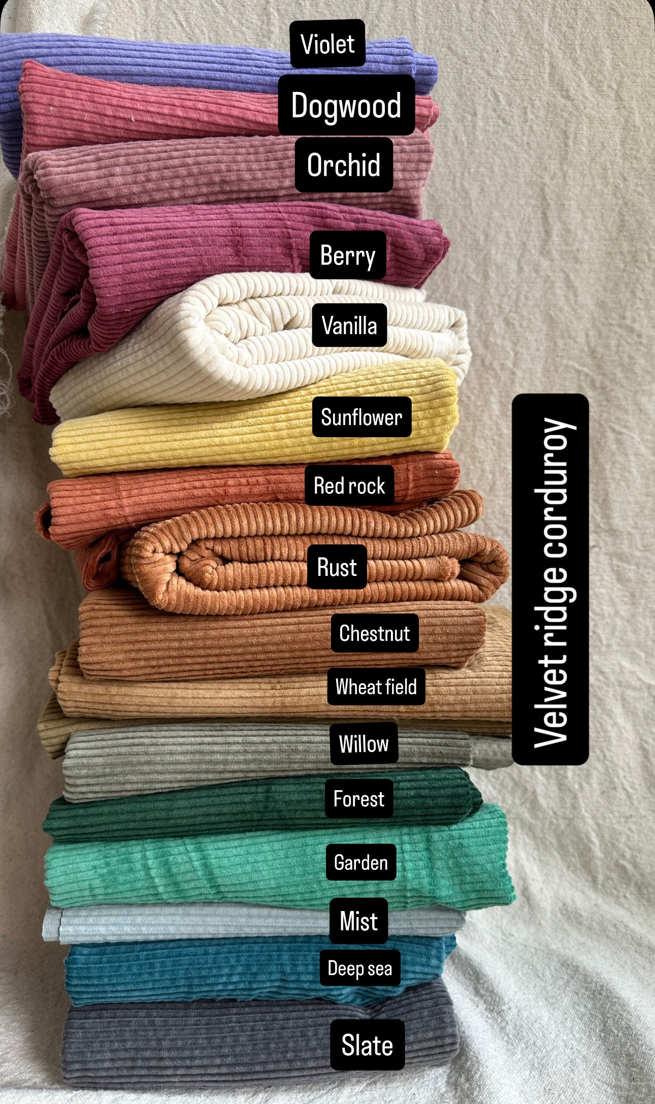 Velvet Ridge Corduroy – Soft Wide Wale 100% cotton