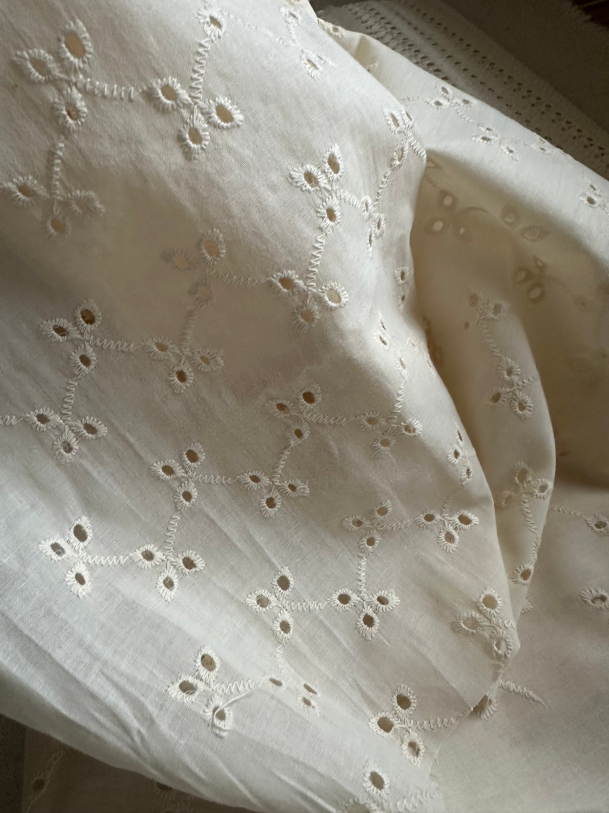 Creamy Cotton Embroidered Eyelet - Isee fabric