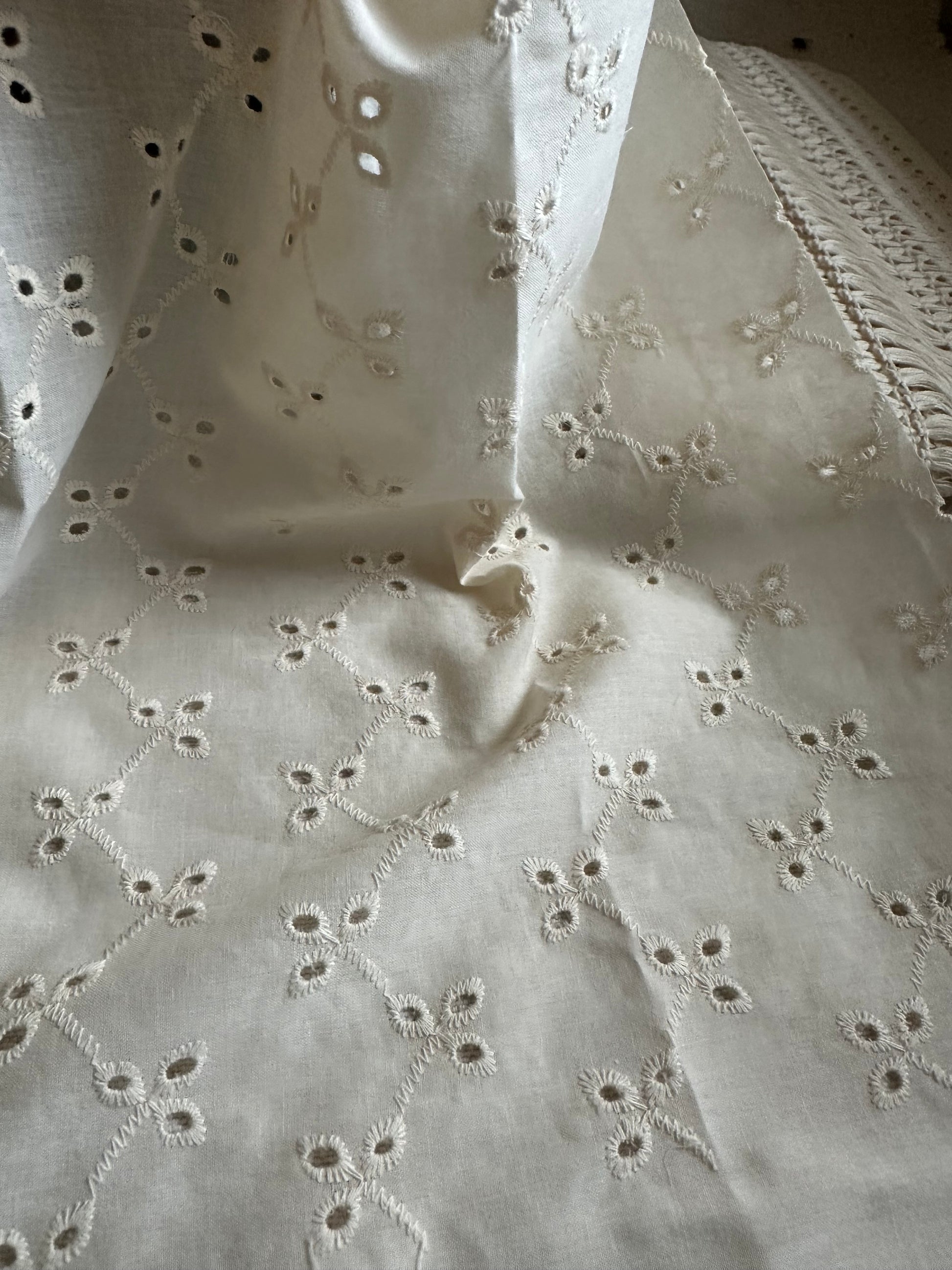 Creamy Cotton Embroidered Eyelet - Isee fabric