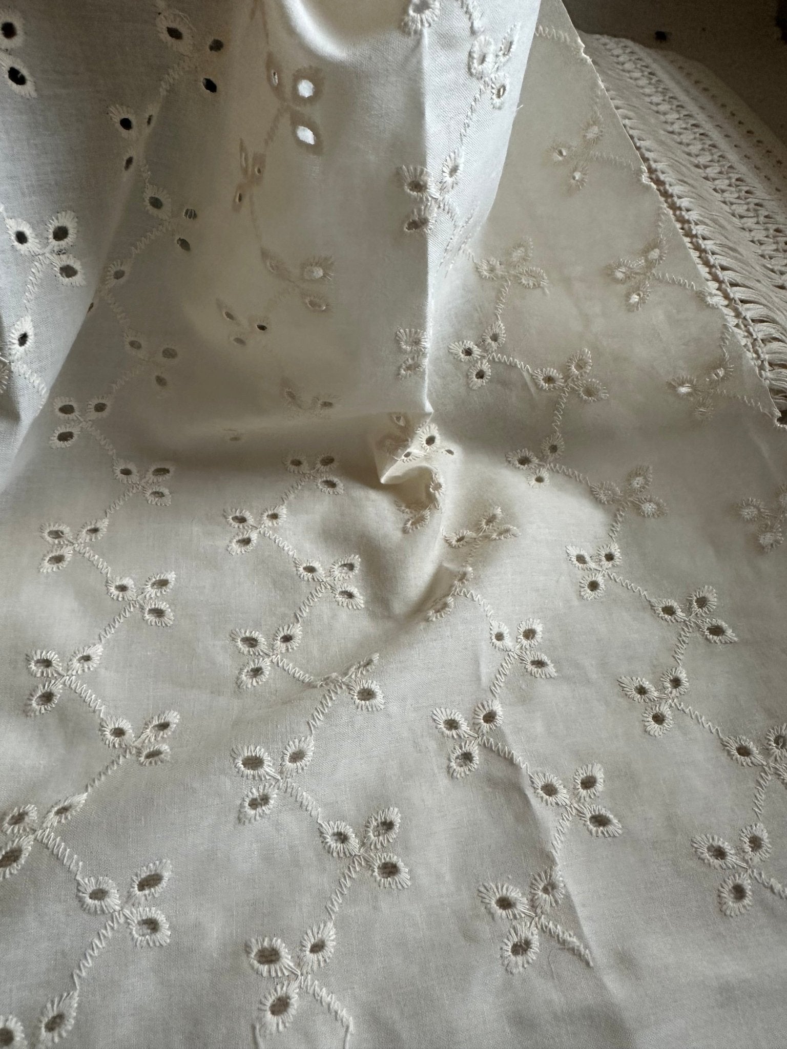 Butter Cotton Embroidered Eyelet - Isee fabric