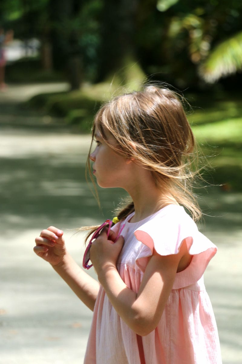 Feliz Dress Sewing Pattern - Isee fabric