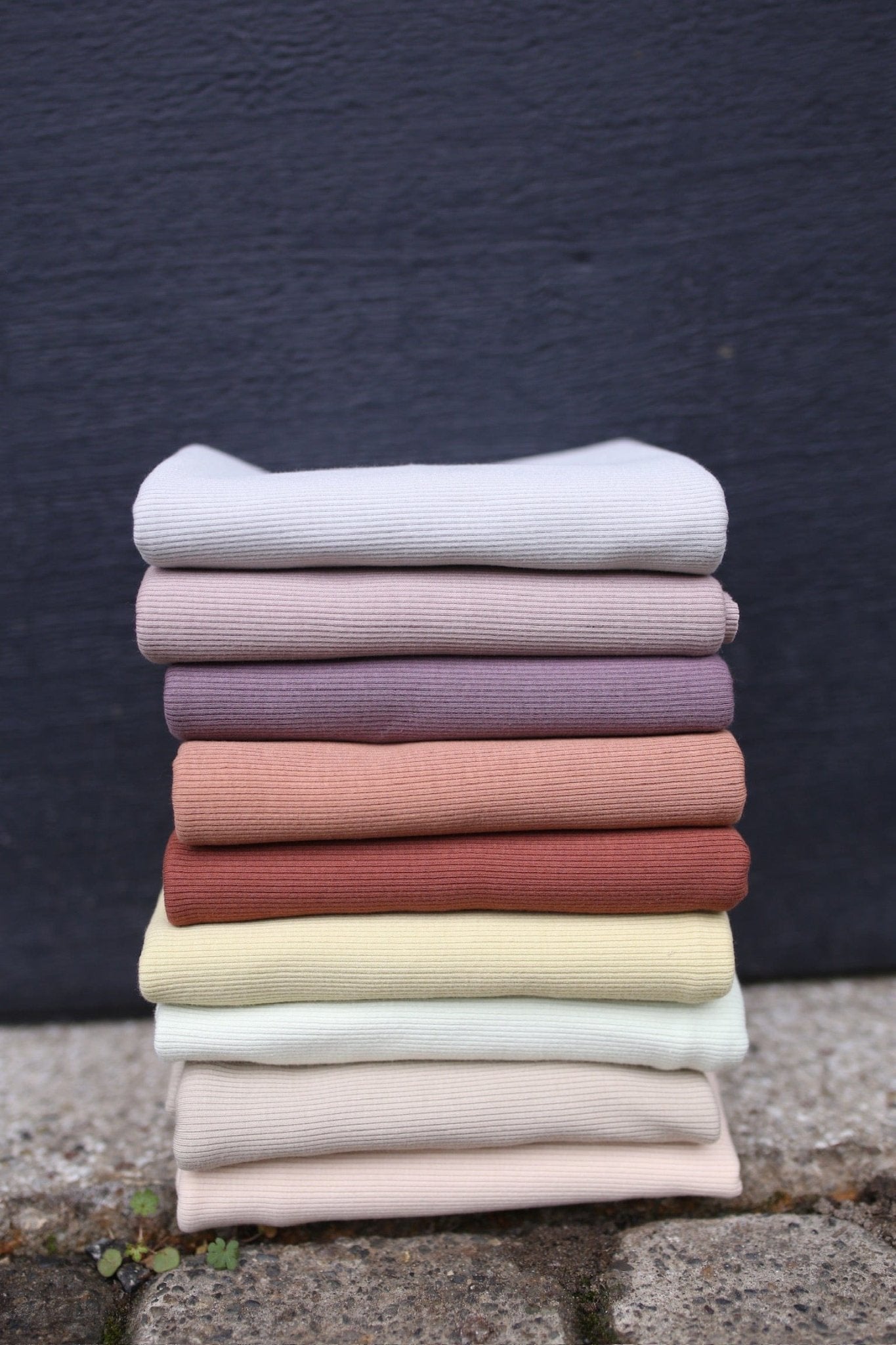 Organic Cotton 2x1 rib knit - Isee fabric