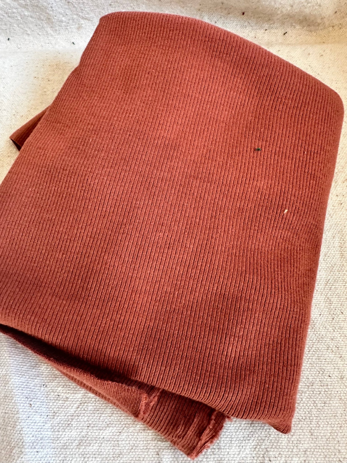 Organic Cotton 2x1 rib knit - Isee fabric
