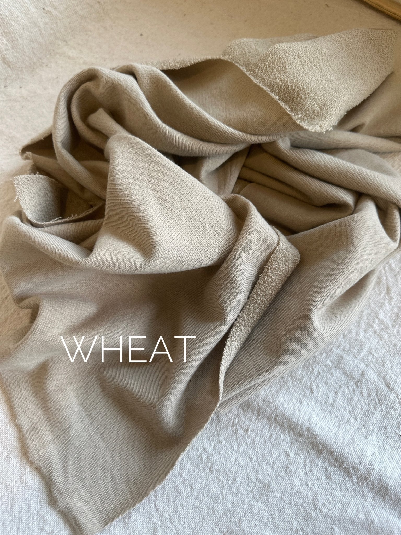 Organic Large Loop American Milled French Terry - Isee fabric